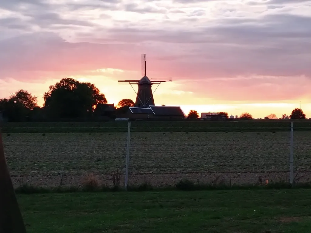 Die Streuobstwiese