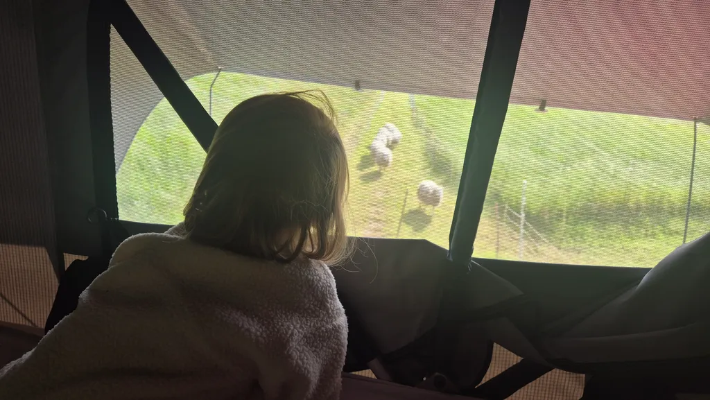 Bild von Astrid für den Spot 1186