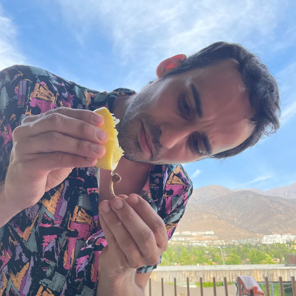 Profilbild von Stephan