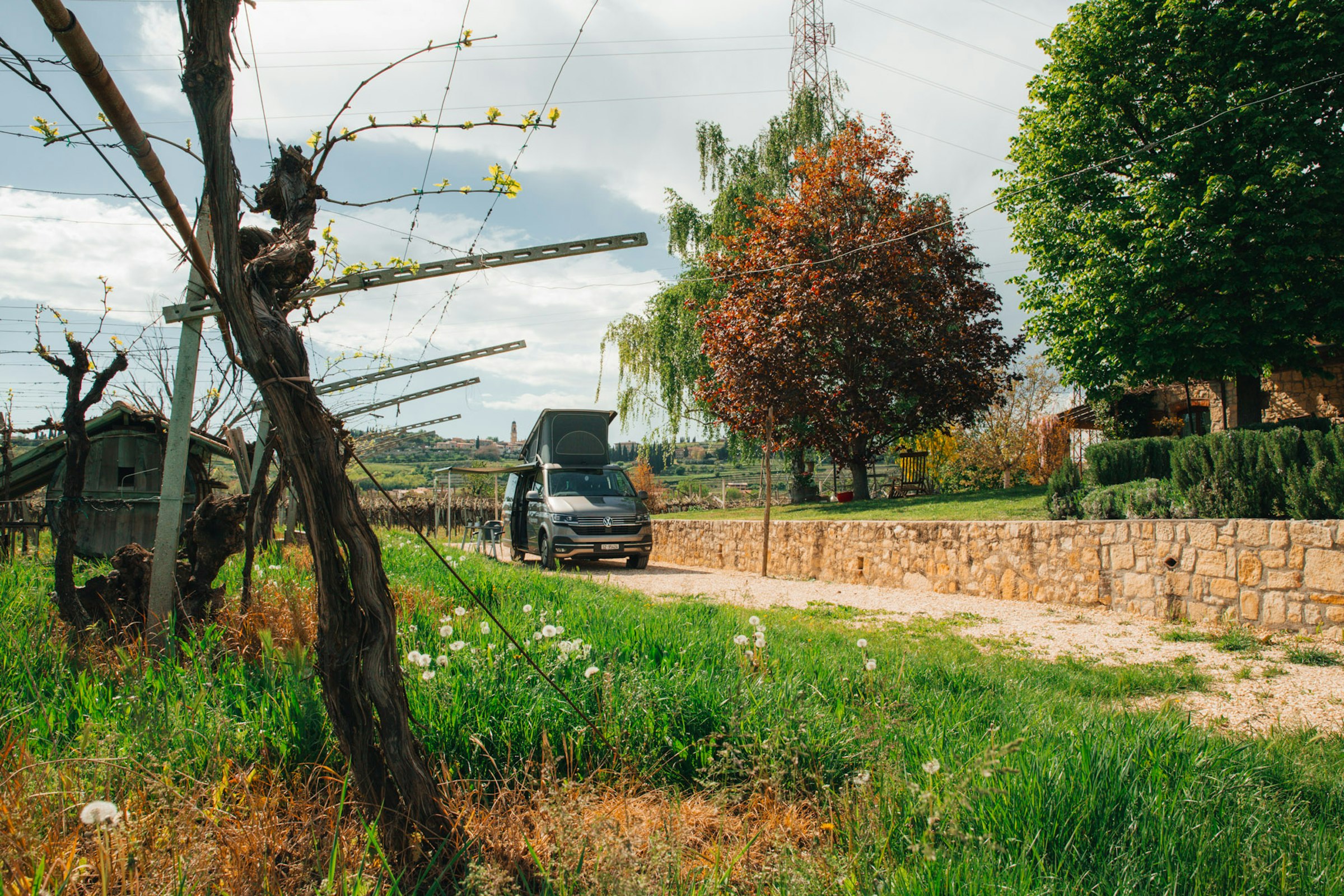 Corte Odorico Wine Experience