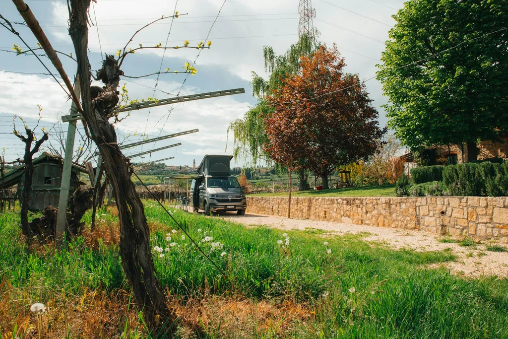 Corte Odorico Wine Experience