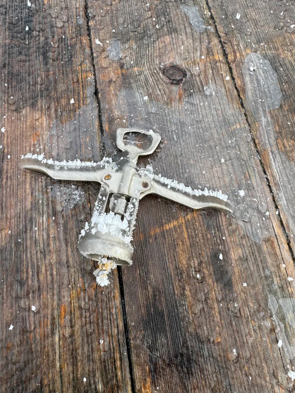 Bild von Karin für den Spot 377