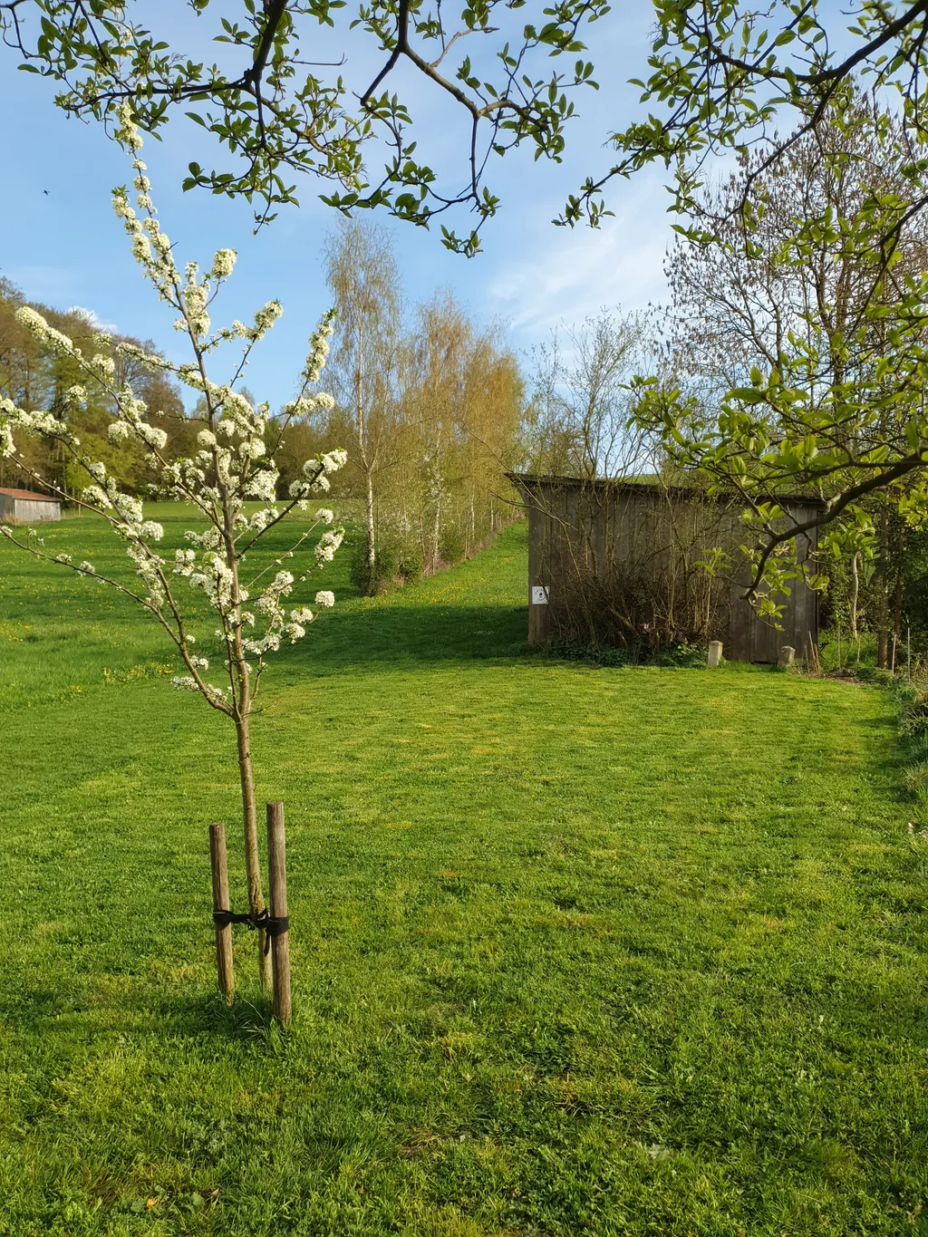 Natur pur: Ihr Stellplatz am ruhigen Ortsrand