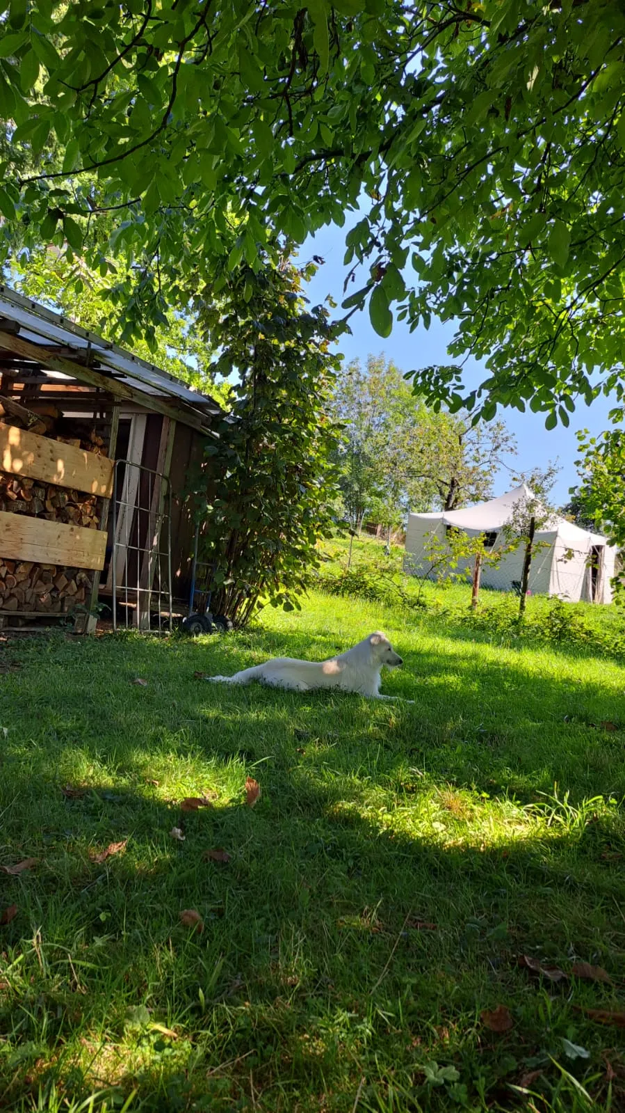 Bild von Dieter für den Spot 1569