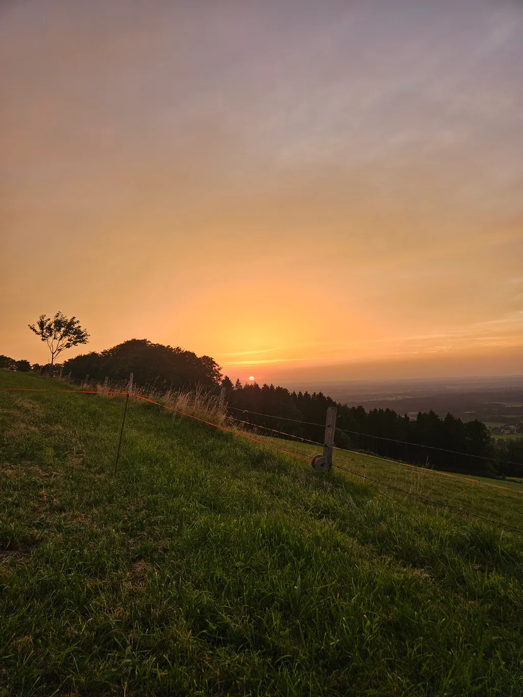 Bild von Carolin für den Spot 4340