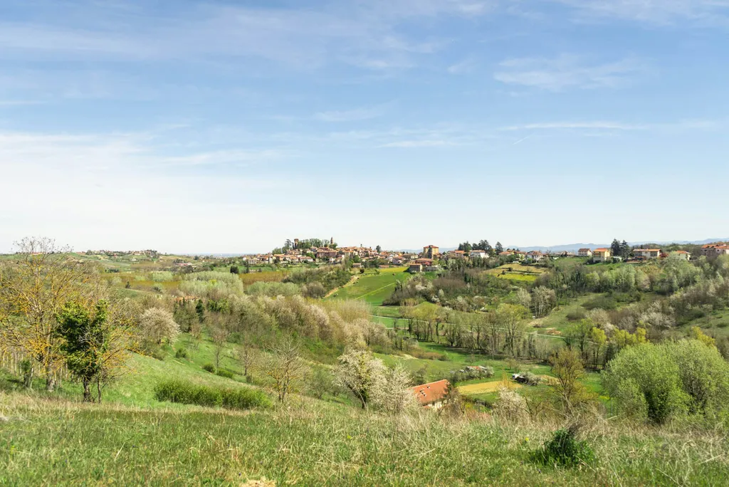 Camp La Signorina - Wild Lake
