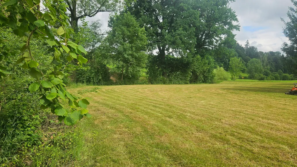 Platz direkt neben Bach mit Hecke.