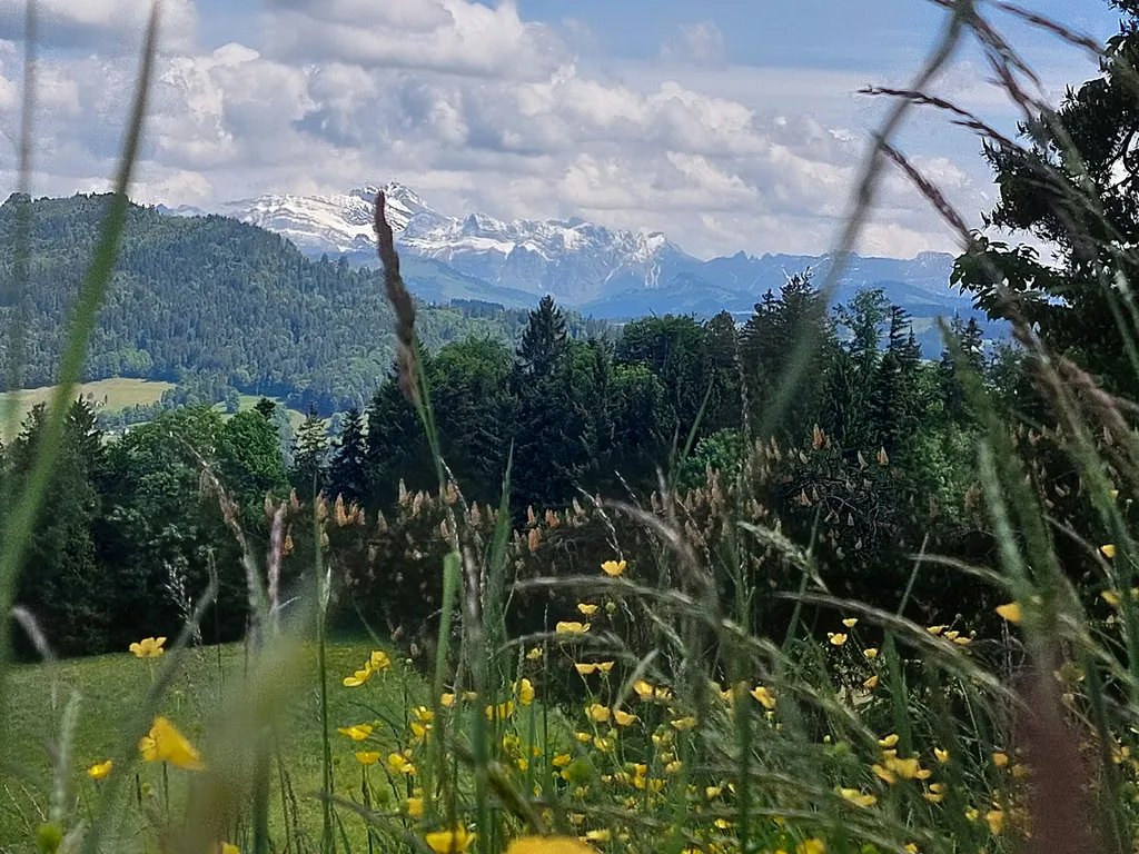 Säntisblick Sedelberg