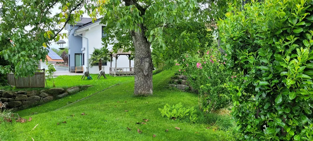 Unter der Walnuss könnt ihr gerne Stühle und Tische aufstellen