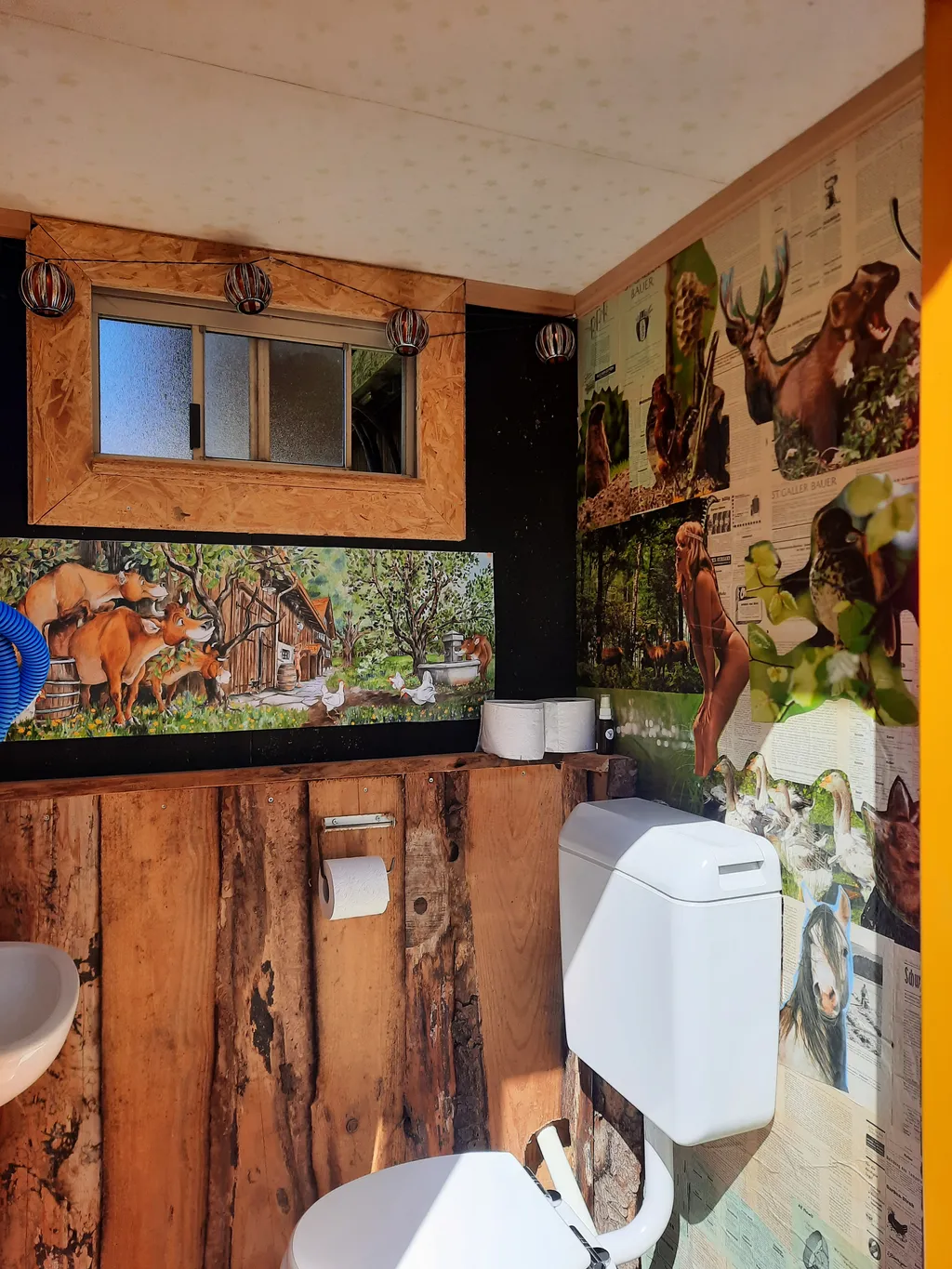 Neu gestaltetet WC Häusschen hinter dem Raclettestübli