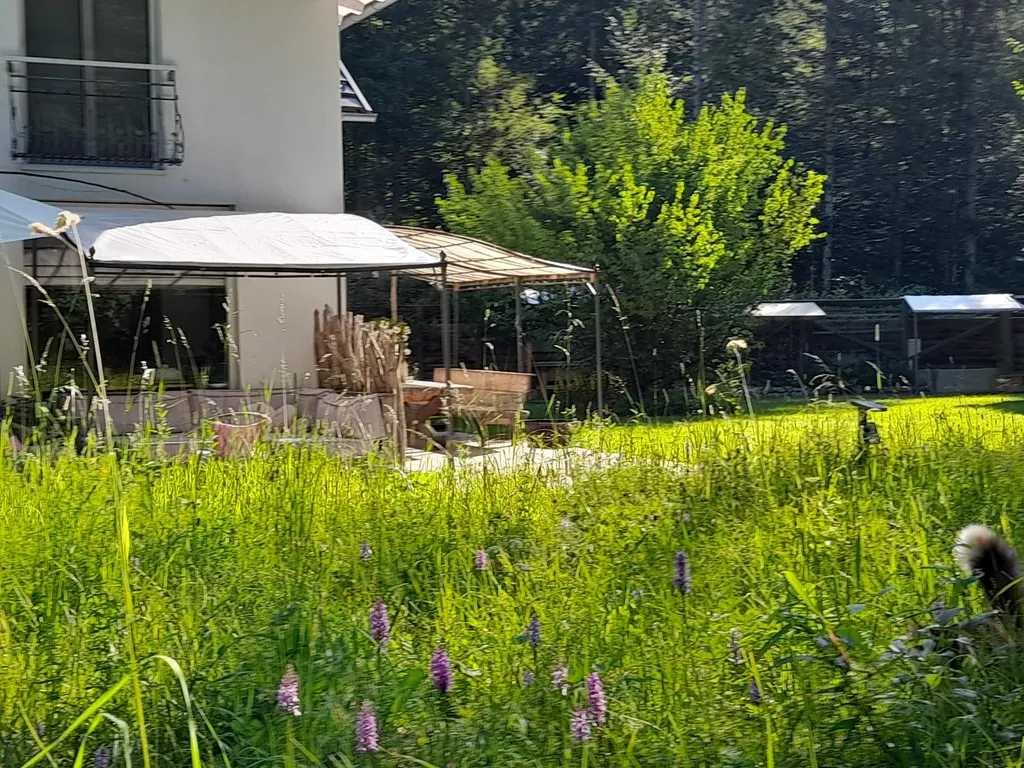 Bergsee & Relaxen