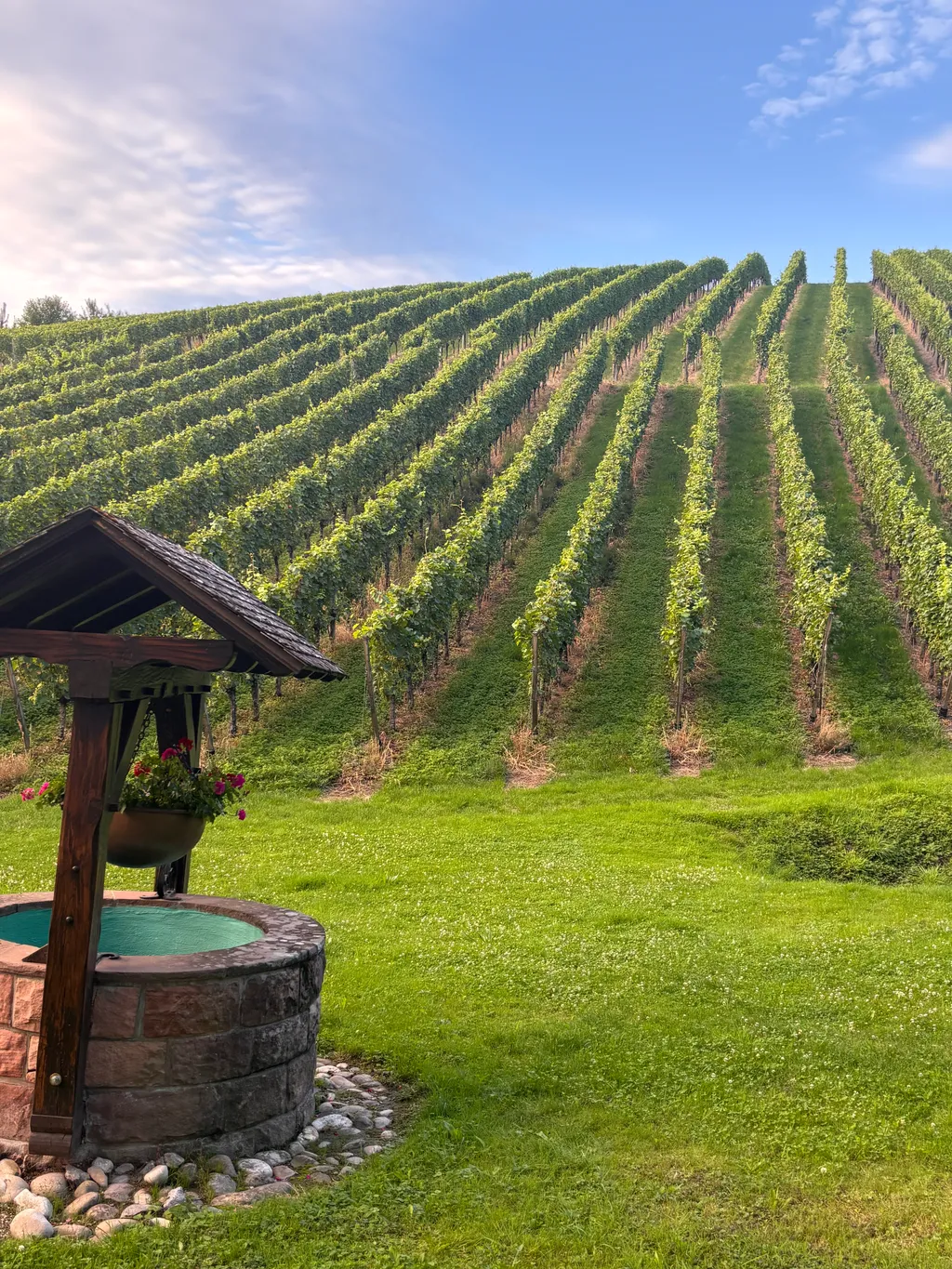 Bild von Christophe für den Spot 1457