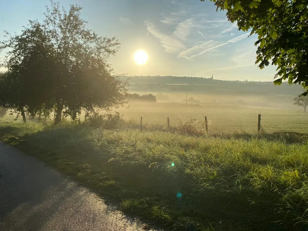 Erholsamer Bauernhofurlaub Südeifel