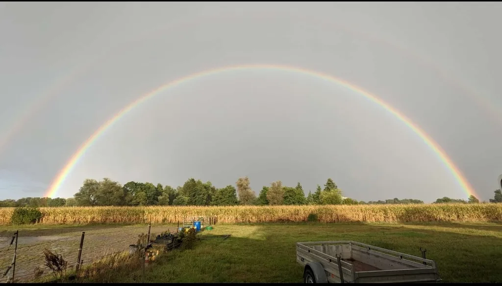 Campen auf der Pferdewiese