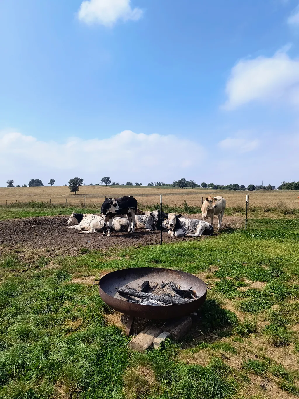 Image by Torsten for spot 4321