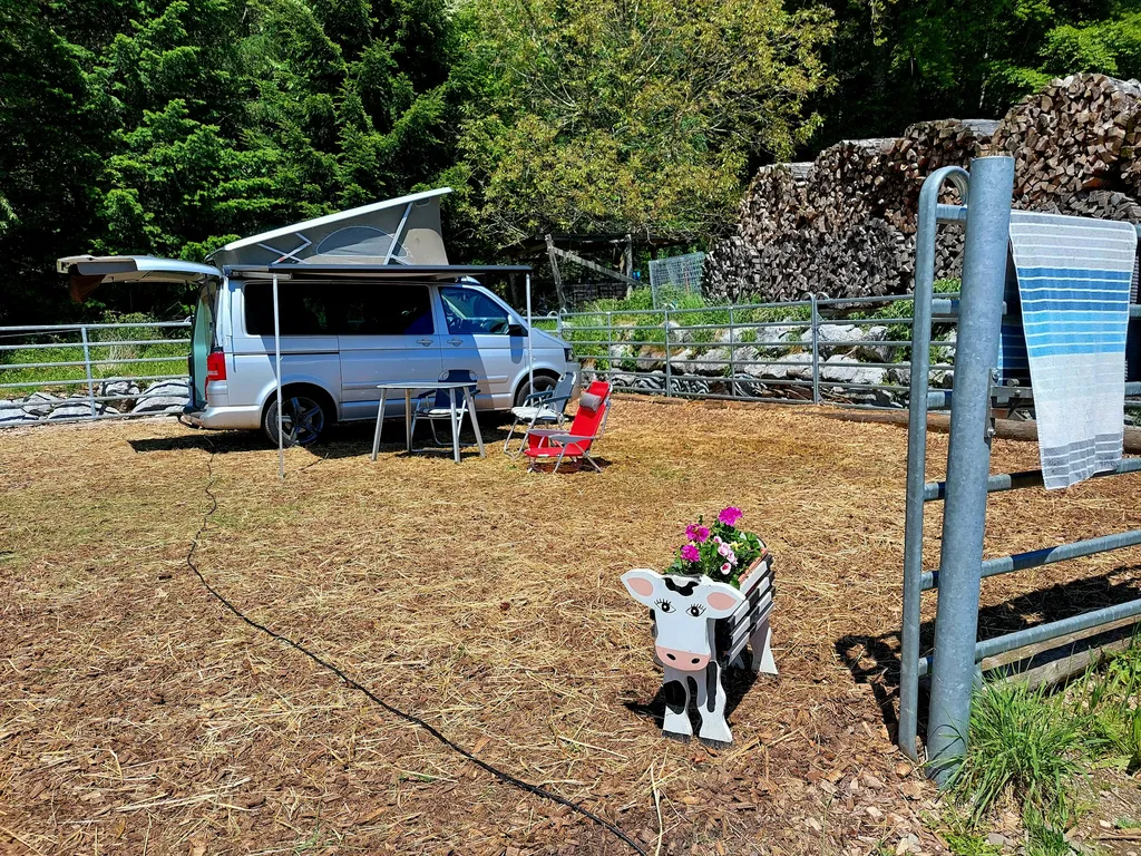 Aussichtshof am Waldrand