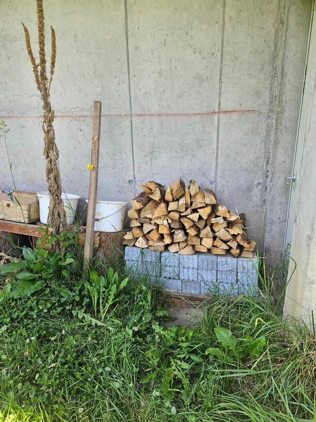 Feuerholz