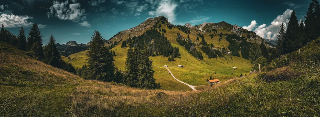 Haldenhof Schwizer Camp