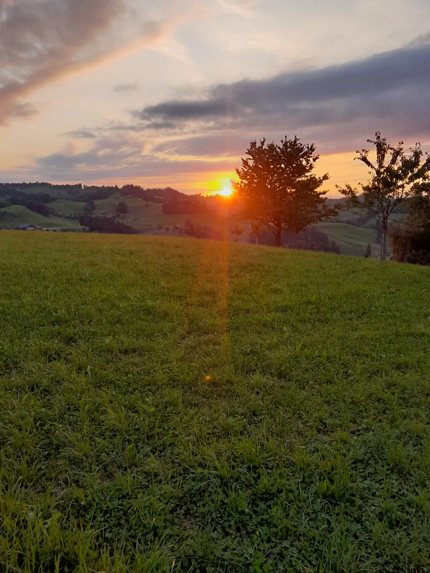 Bild von Mike für den Spot 444