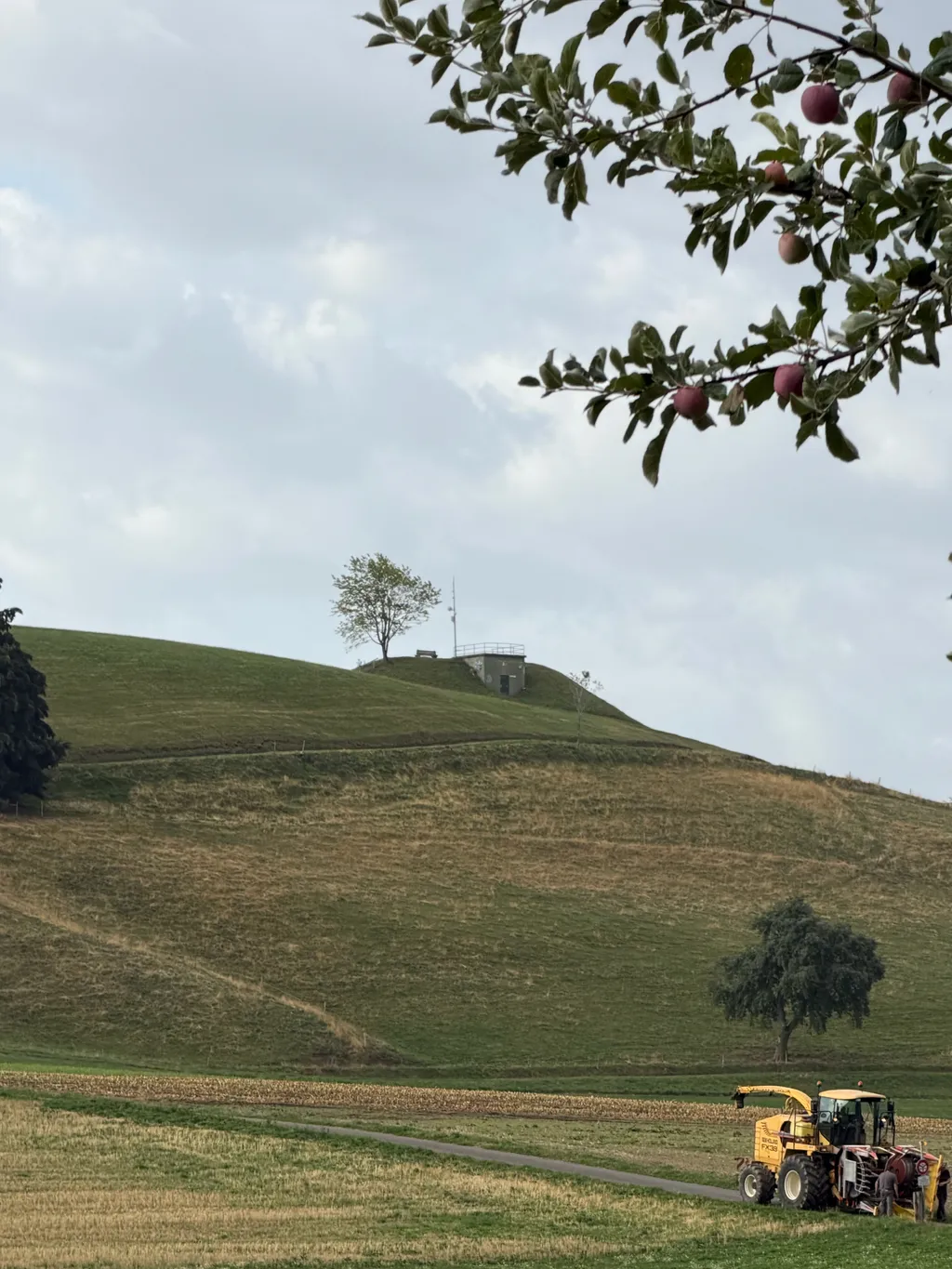 Bild von Teije für den Spot 992