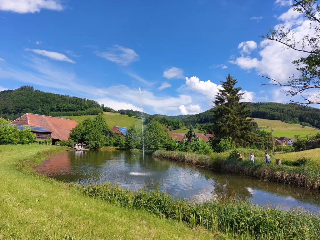 Blick von der Zeltwiese über das Wasser Richtung Kasperhof