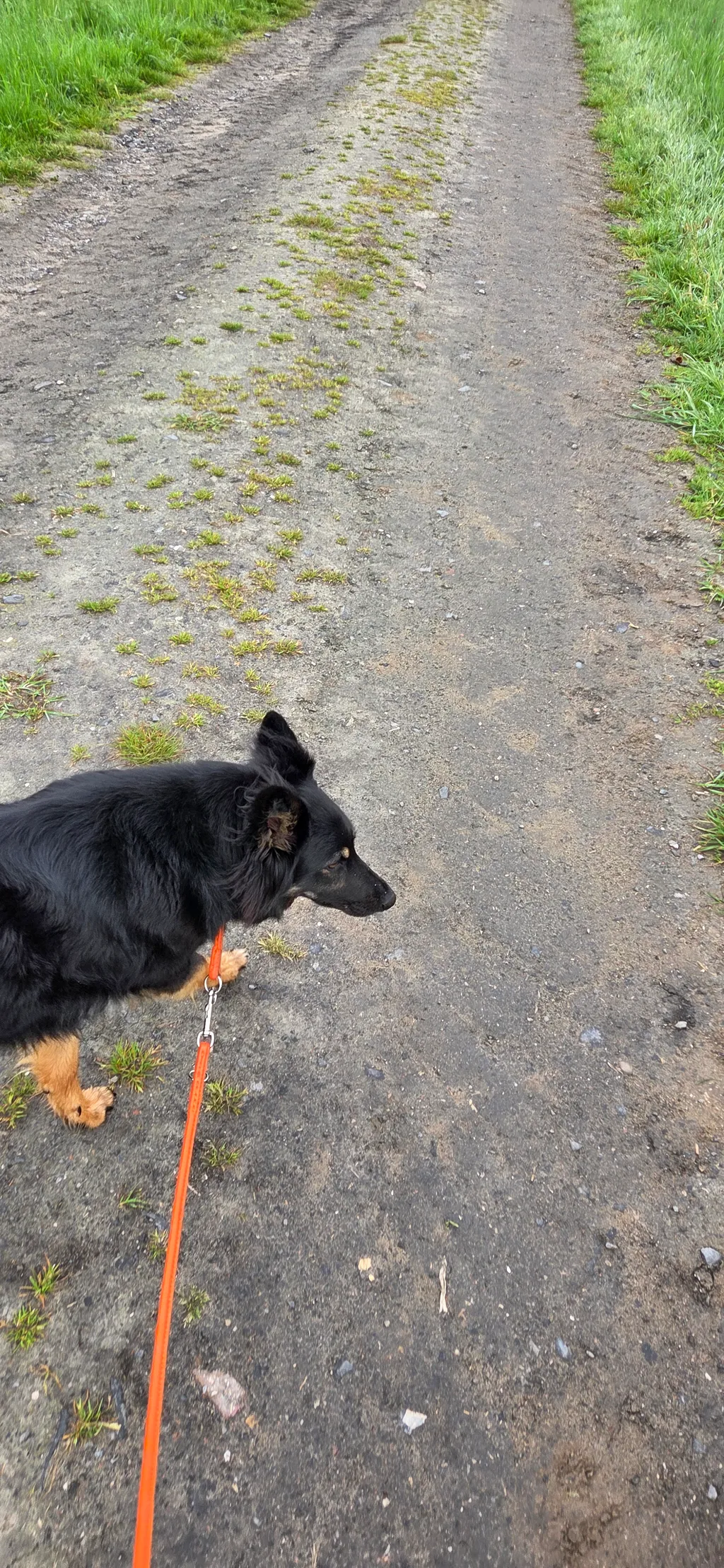 Bild von Karina für den Spot 3646