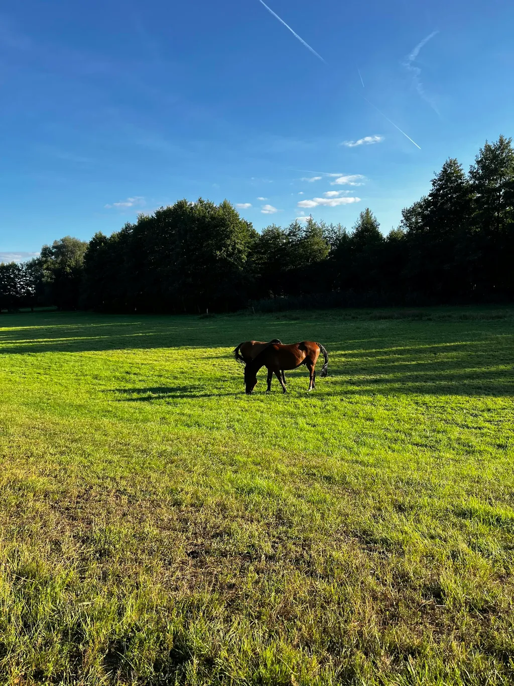 Auszeit im Naturpark Westhavelland