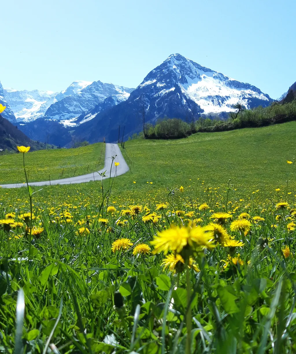 Zeltplatz Anreise mit Auto
