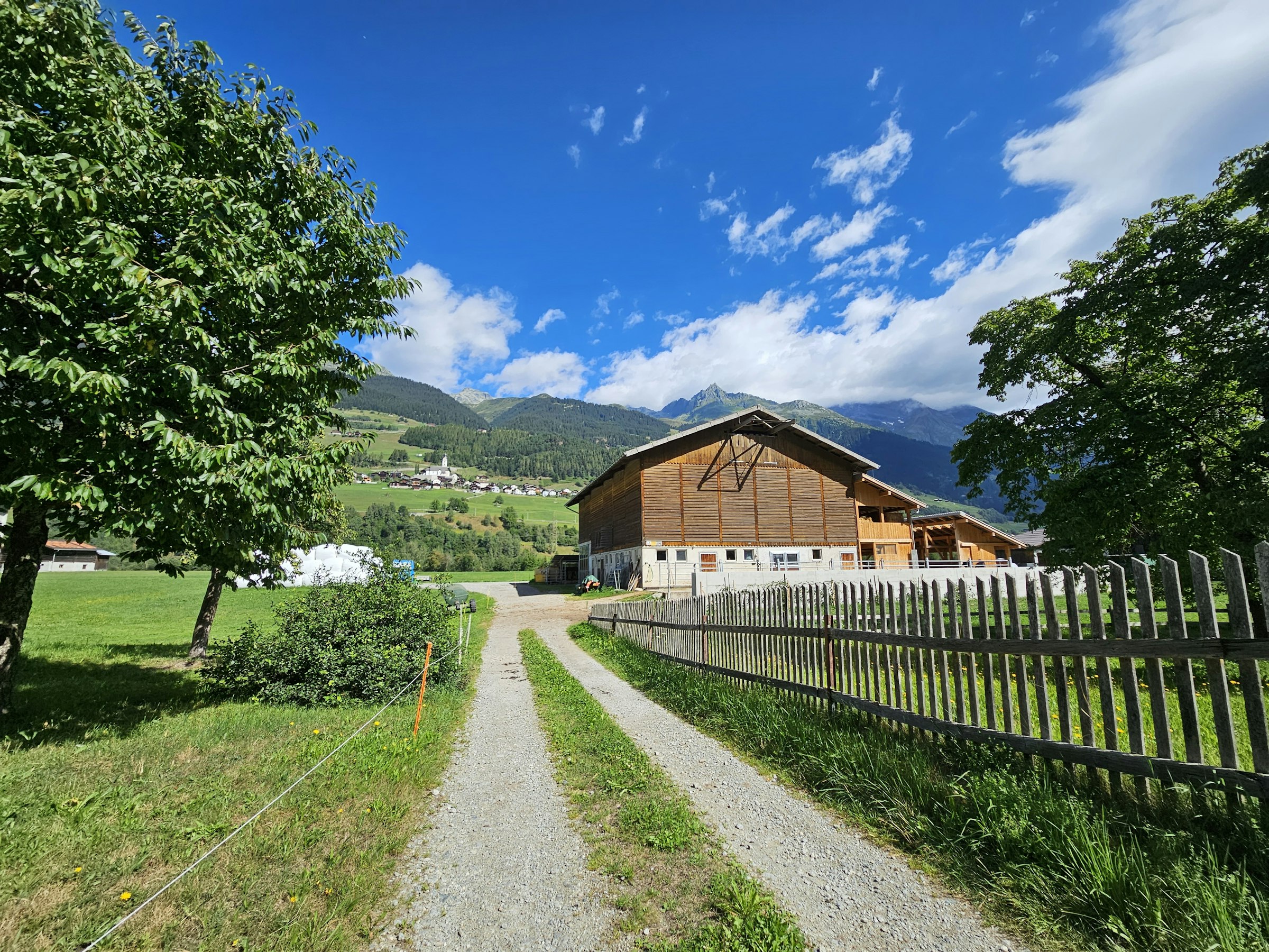 Auf unserem Hof / Luna-o-Sol