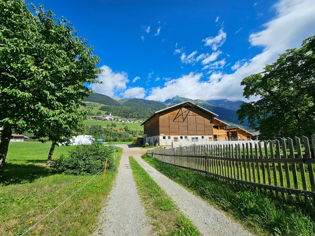 Auf unserem Hof / Luna-o-Sol