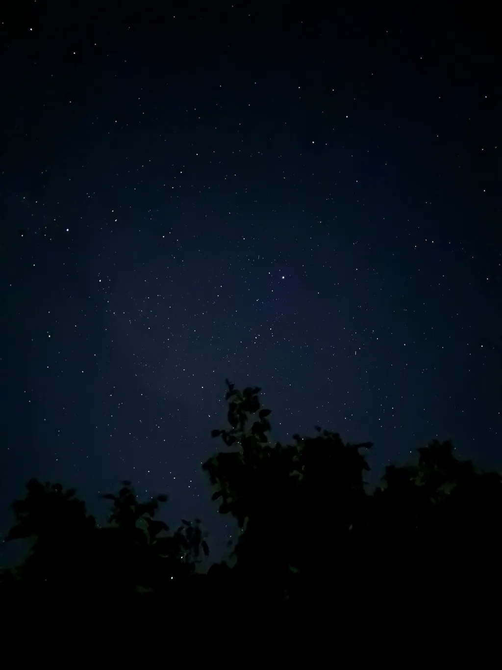Bild von Marcel für den Spot 1706