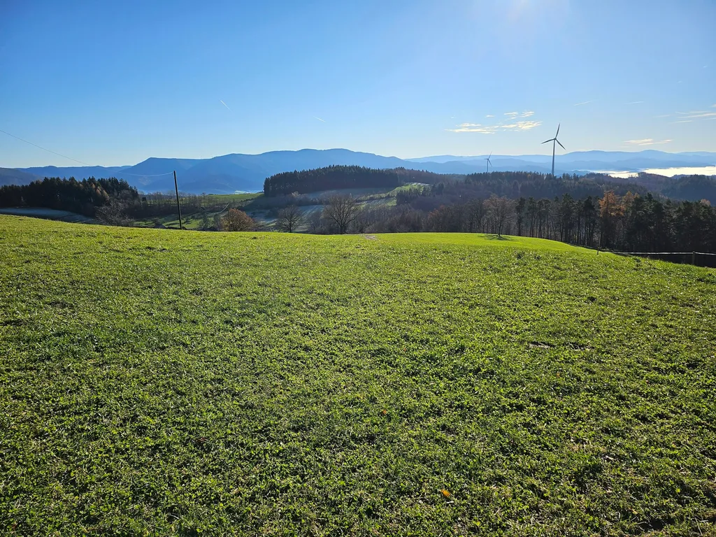 Natur pur – beim Kölble Hof – Windrad