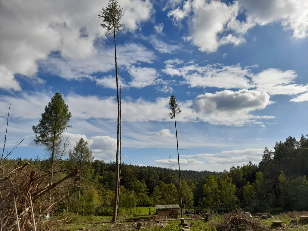 Spessart - Idylle
