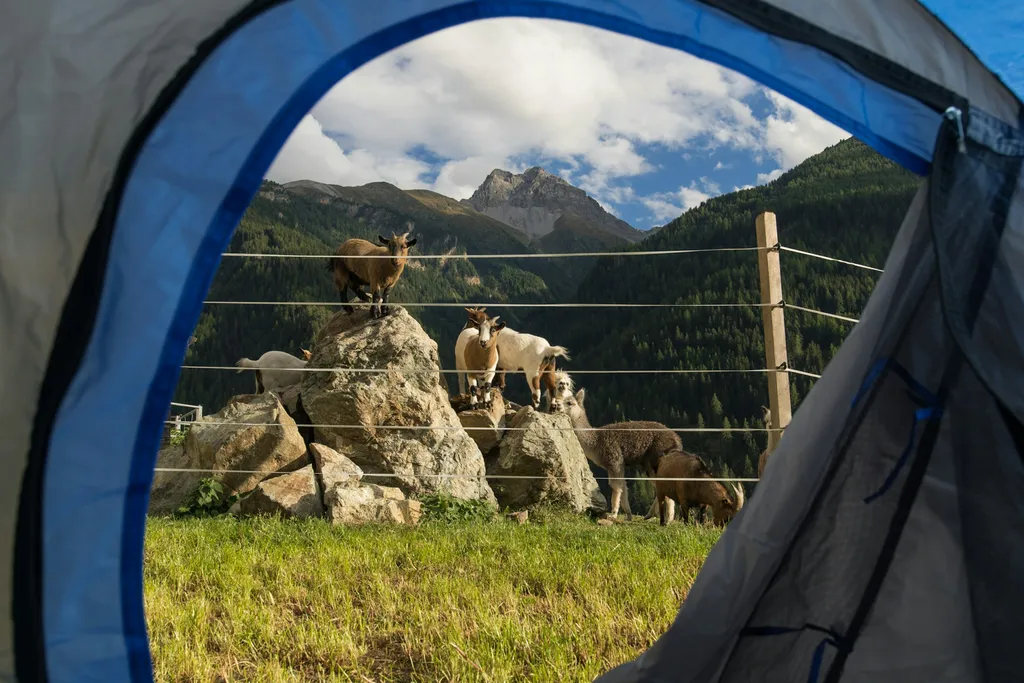 Zeltcamp Ustaria la stalla Engadin