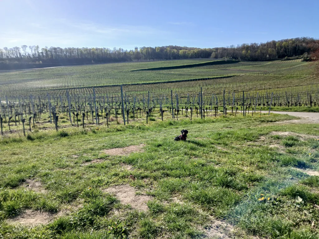 Bild von Nora für den Spot 3482