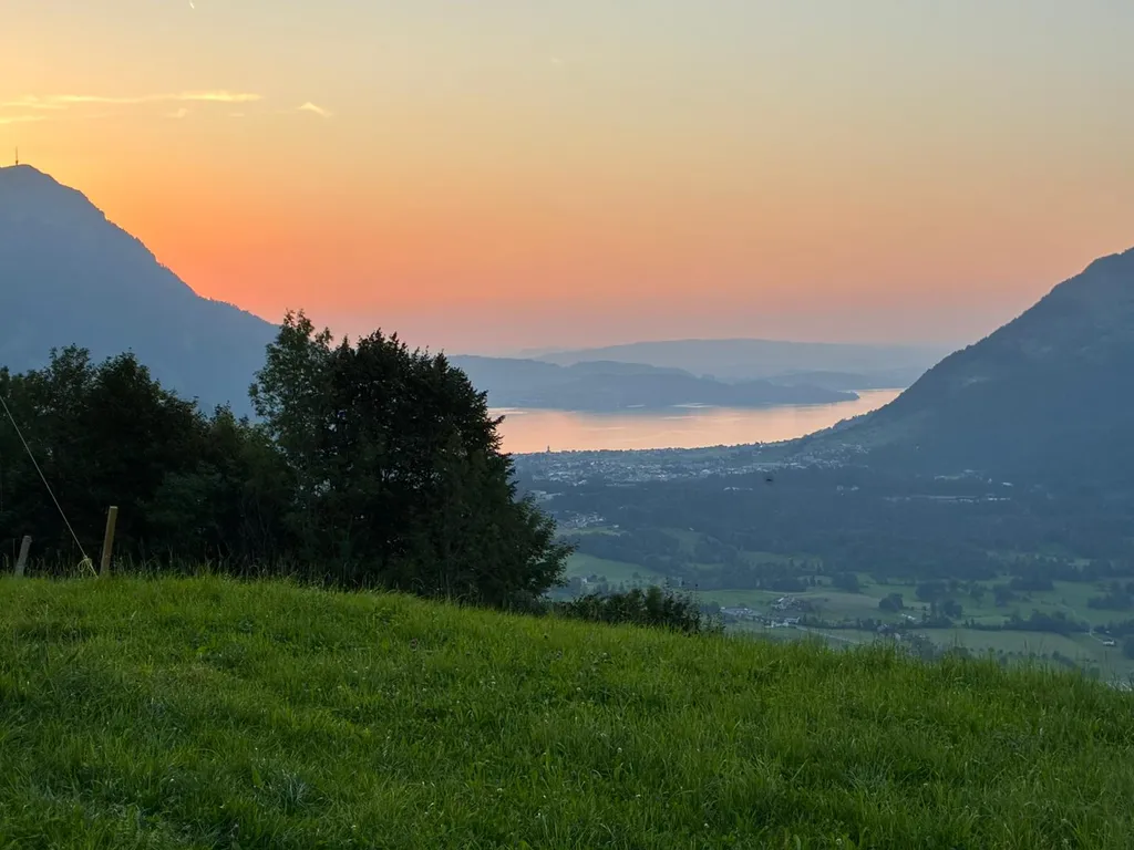 Image by Kathrin for spot 4362