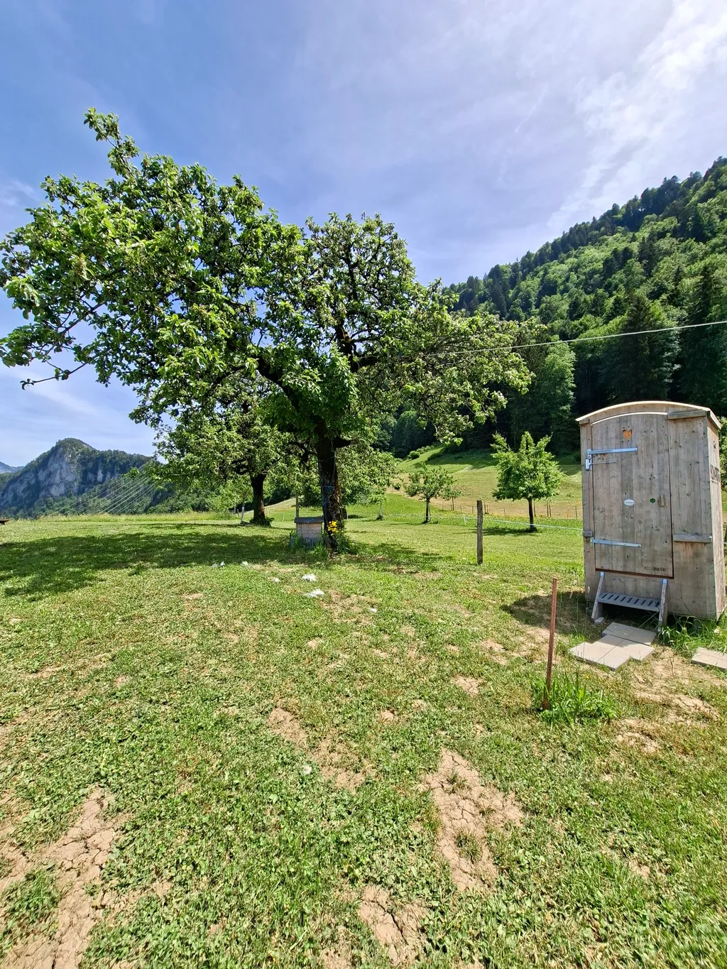 Toilette