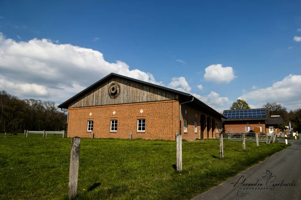 Stellplatz bei den Hochlandrindern