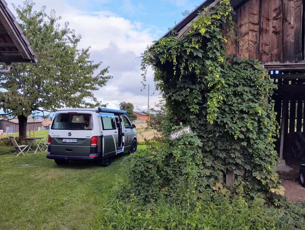 Bild von Mirjam für den Spot 3763