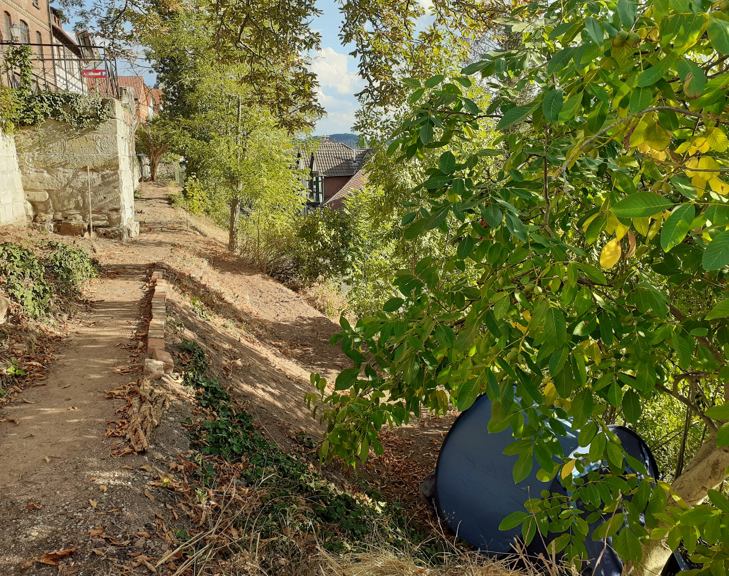 Zelten mit Stadtmauer u. Werrablick
