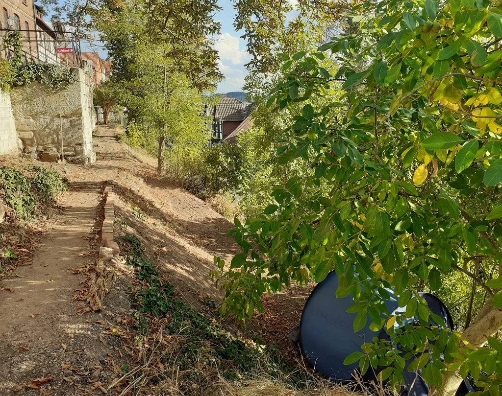 Zelten mit Stadtmauer u. Werrablick