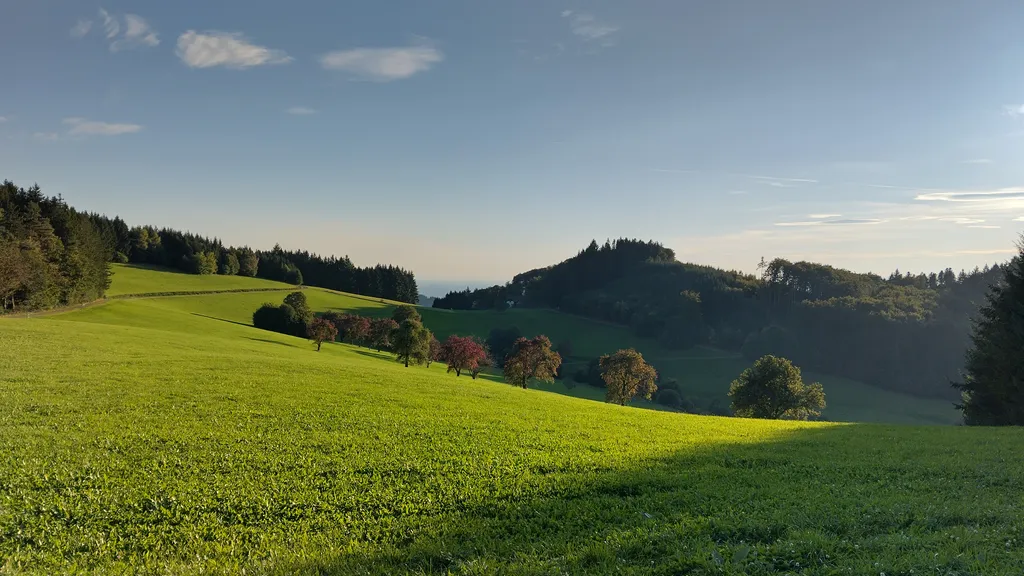 Bild von Monica für den Spot 1580