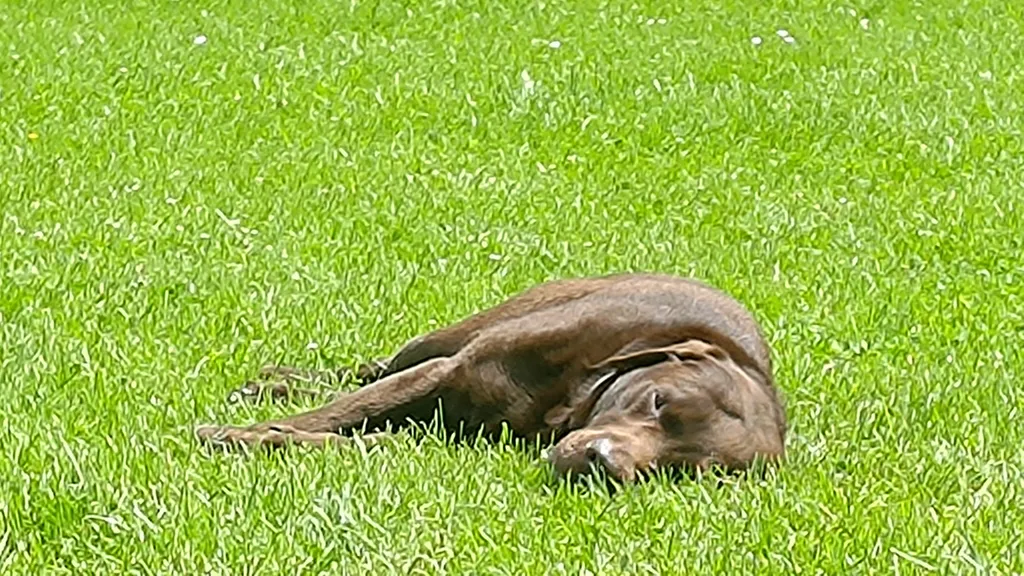 Bild von Nadine für den Spot 1672