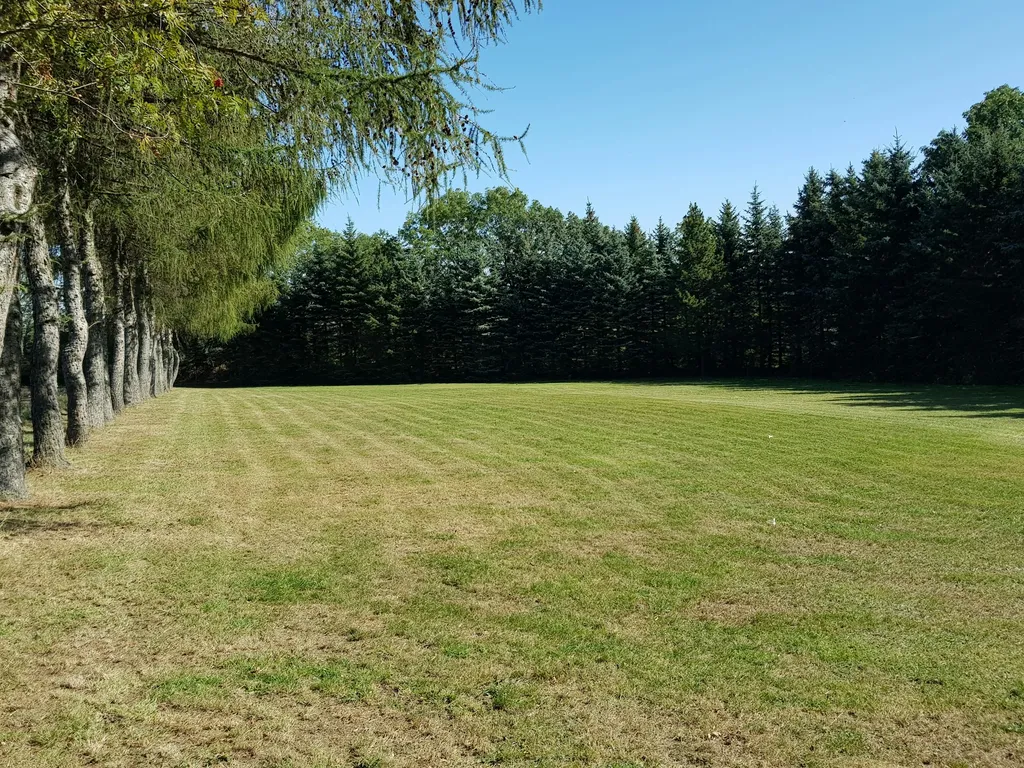 Wiese am Ortsrand