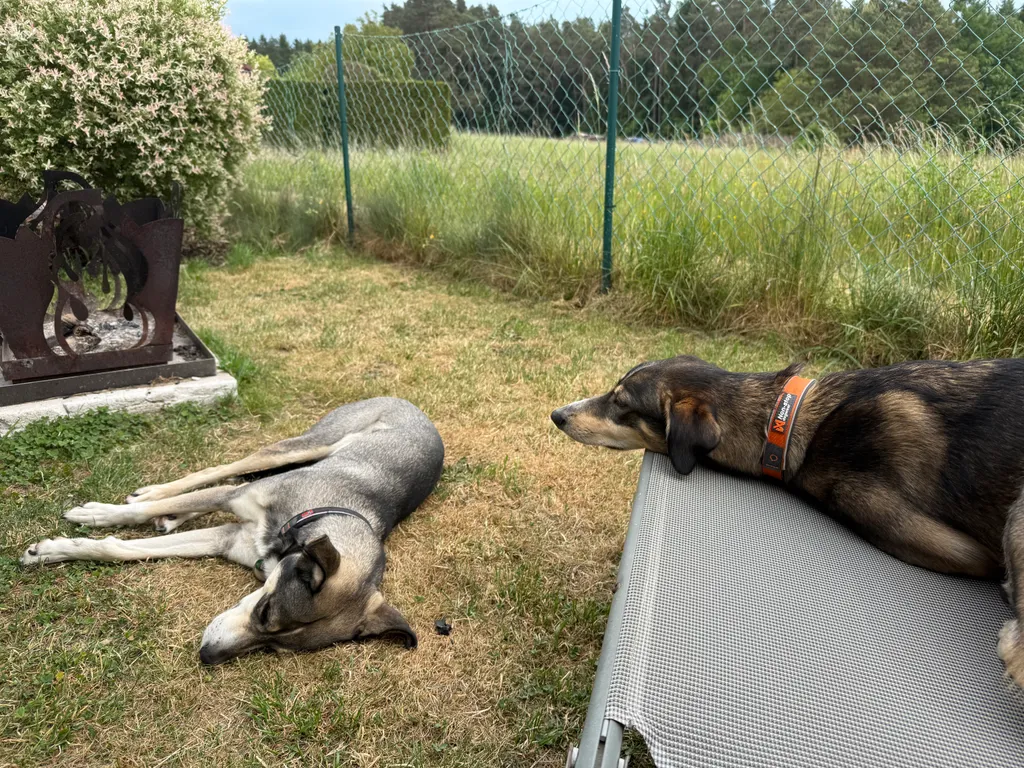 Bild von Sabrina für den Spot 1501