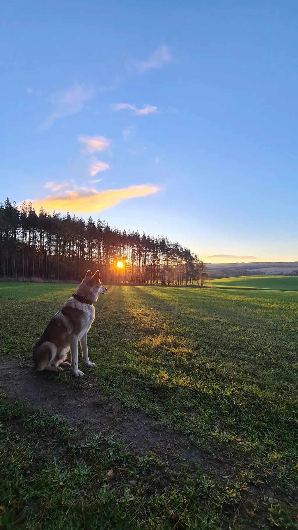Naturnahe Stellplätze am Ortsrand