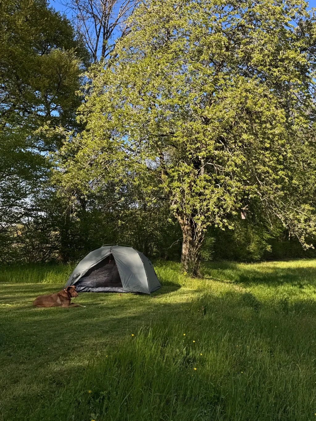 Bild von Chantal für den Spot 1093