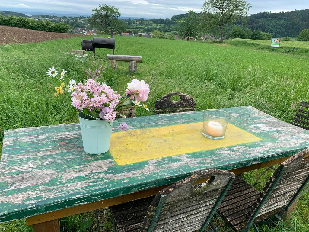 Bodensee Panorama-Alpenblick