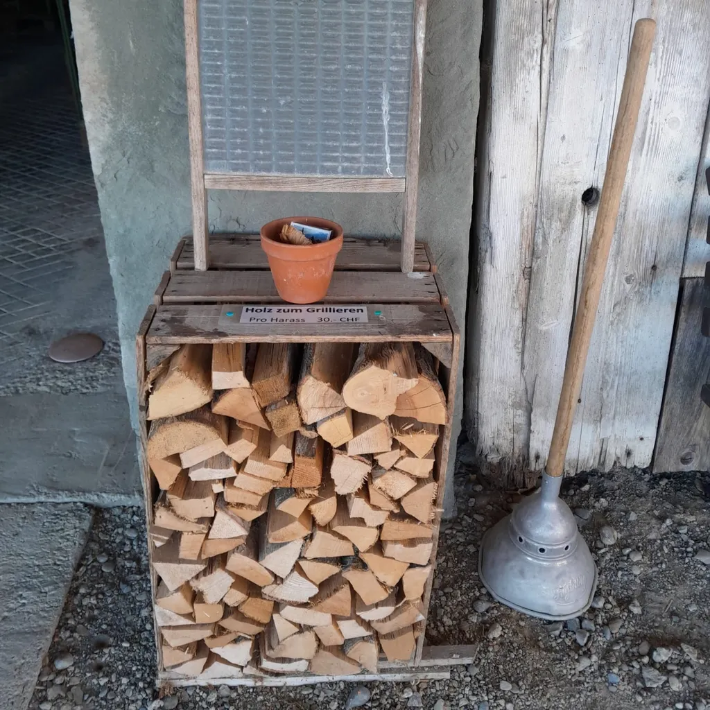 Firewood from our own forest