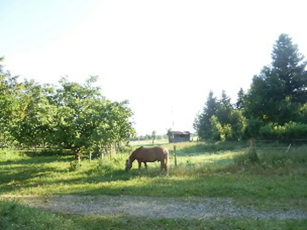 Schönes Plätzchen neben Biohof